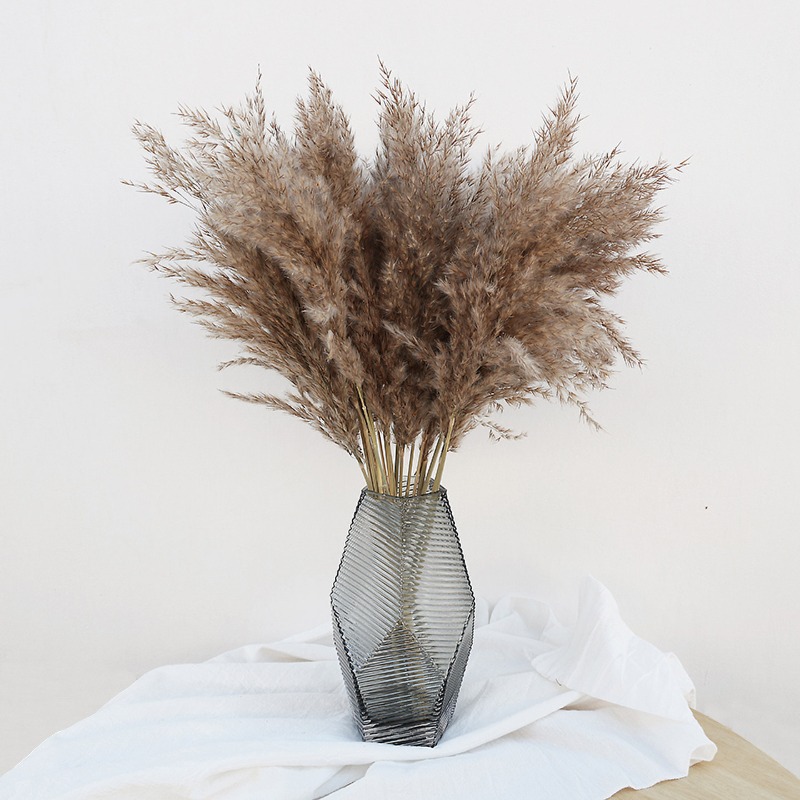 Florist Supply Vases - 10Pcs Colorful Natural Reeds Pampas Grass